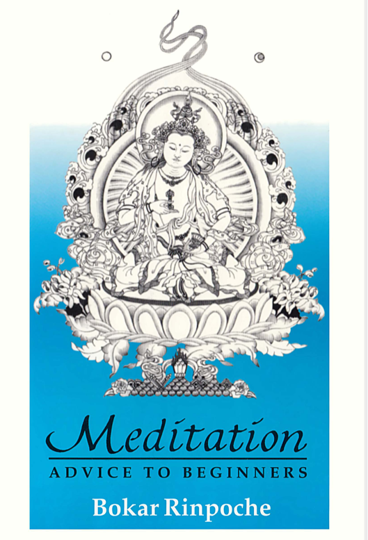 (image for) Meditation Advice to Beginners by Bokar Rinpoche (PDF)